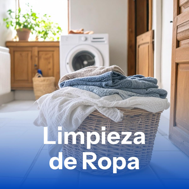 Limpieza de Ropa